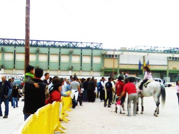La exhibición de caballos, a cargo del Club Caballista San Jaime, ha hecho las delicias de los más pequeños.