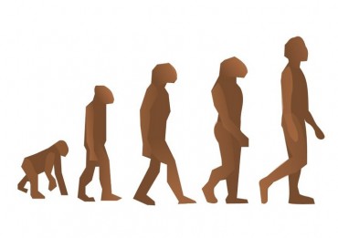evolucion-del-hombre-t10176
