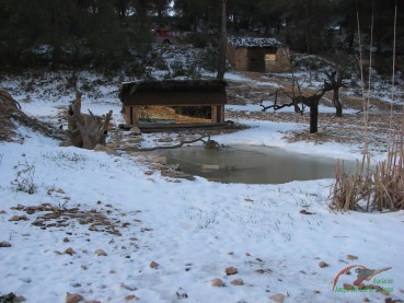 El escondite y bebedero de la "Foia Roja", uno de los que mantiene la asociación, en una imagen de este invierno, horas después de una copiosa nevada.