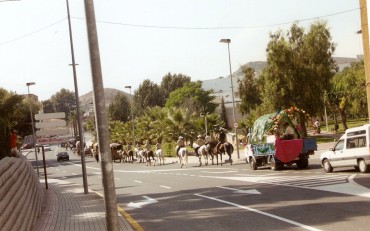 Unos pocos días al año, los caballos y los carros toman las calles de Petrer.
