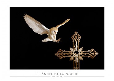 "El ángel de la noche", de José Benito Ruiz. Una exposición del afamado fotógrafo alicantino apoyó la iniciativa del I Encuentro del Vinalopó.