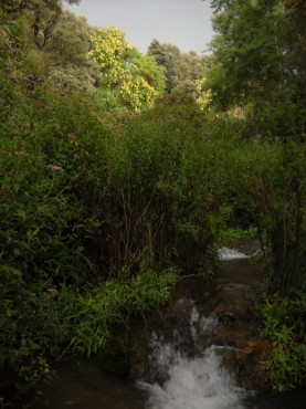 El río Vinalopó en las proximidades de su nacimiento. Banyeres de Mariola.