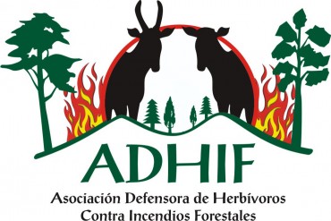 Logotipo de la asociación.