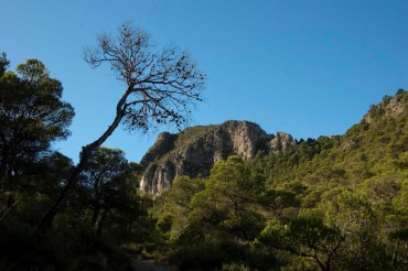 Los Picachos de Cabrera sin duda uno de los espacios naturales de Villena más bonitos y desconocidos 