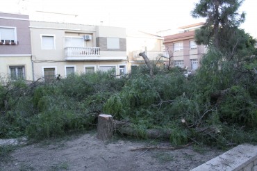 Imágenes de una reciente tala de árboles en la Plaza San Crispín, criticada por varios partidos políticos. El ayuntamiento alegó "razones de seguridad".