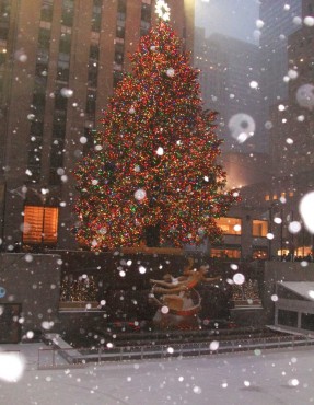 El famoso árbol de navidad de Rockefeller Center